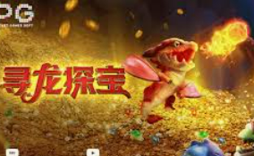 南宫app2024最新版