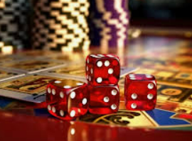 南宫app2024最新版